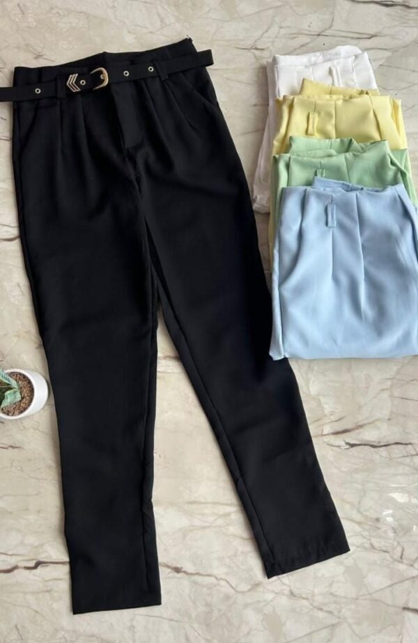 WhatsApp Image 2026-08-12 at 22.29.37 Pantalon sastrero