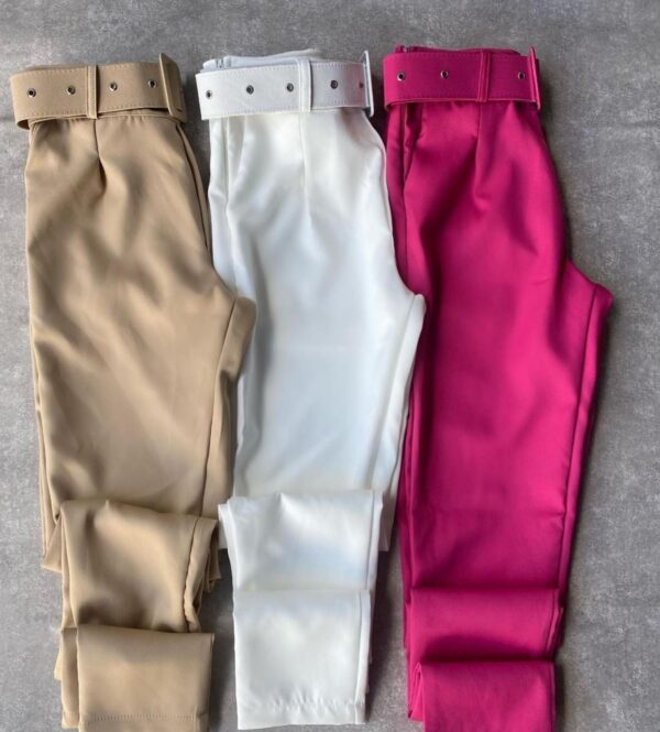 WhatsApp Image 2026-08-12 at 22.29.45 Pantalon sastrero